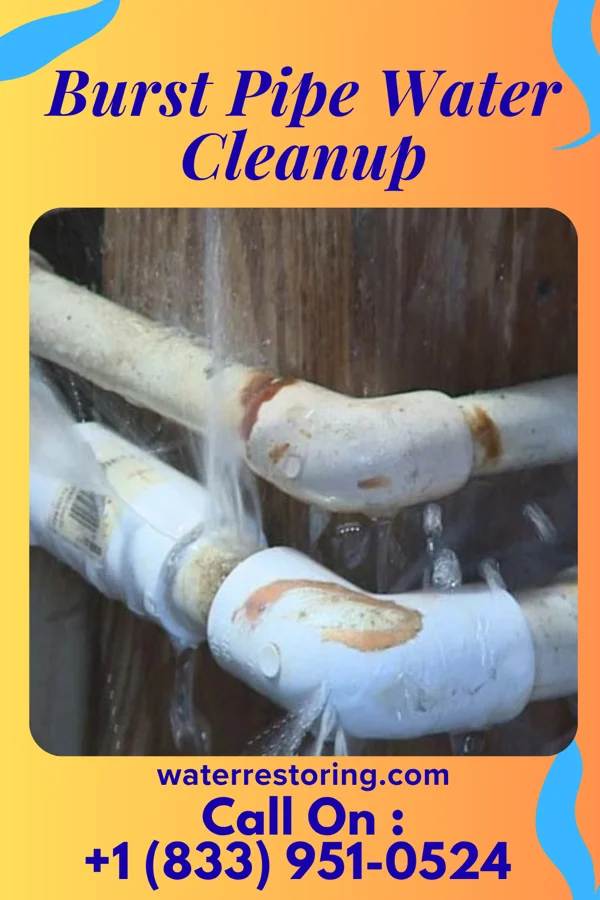 Burst Pipe Water Cleanup in Voorheesville, NY