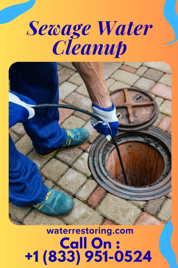 Sewage Water Cleanup in Voorheesville, NY